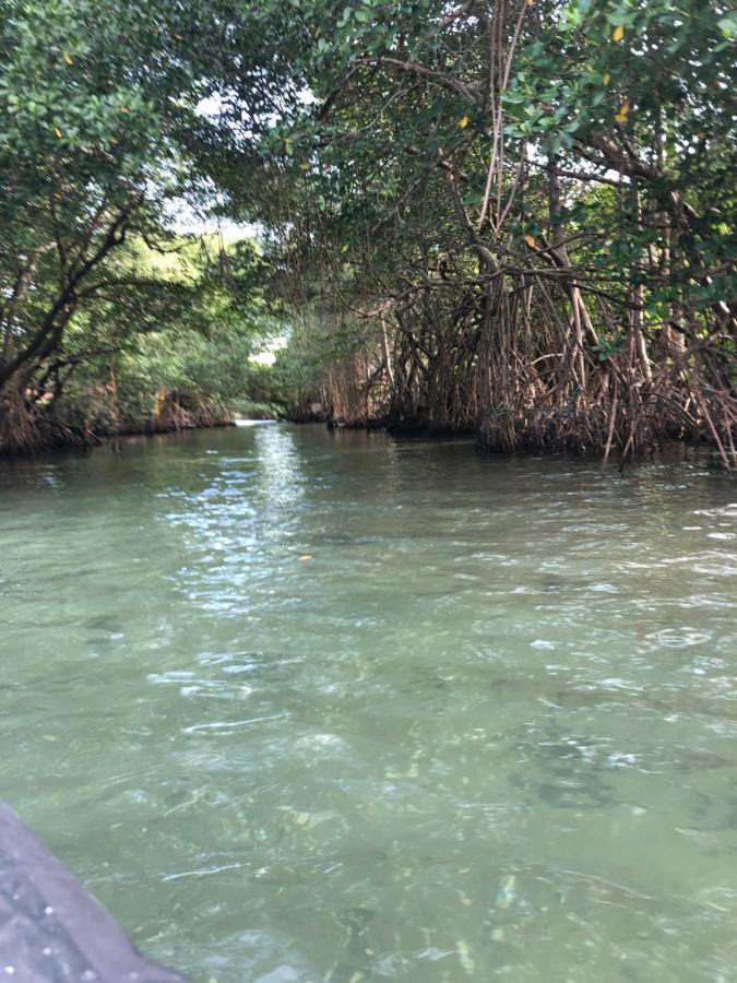 Apartamento Paraíso Na Ilha Da Gigóia *