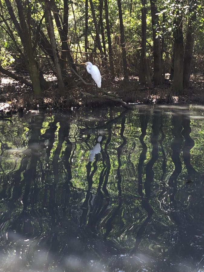 Paraiso Na Ilha Da Gigoia Apartemen *
